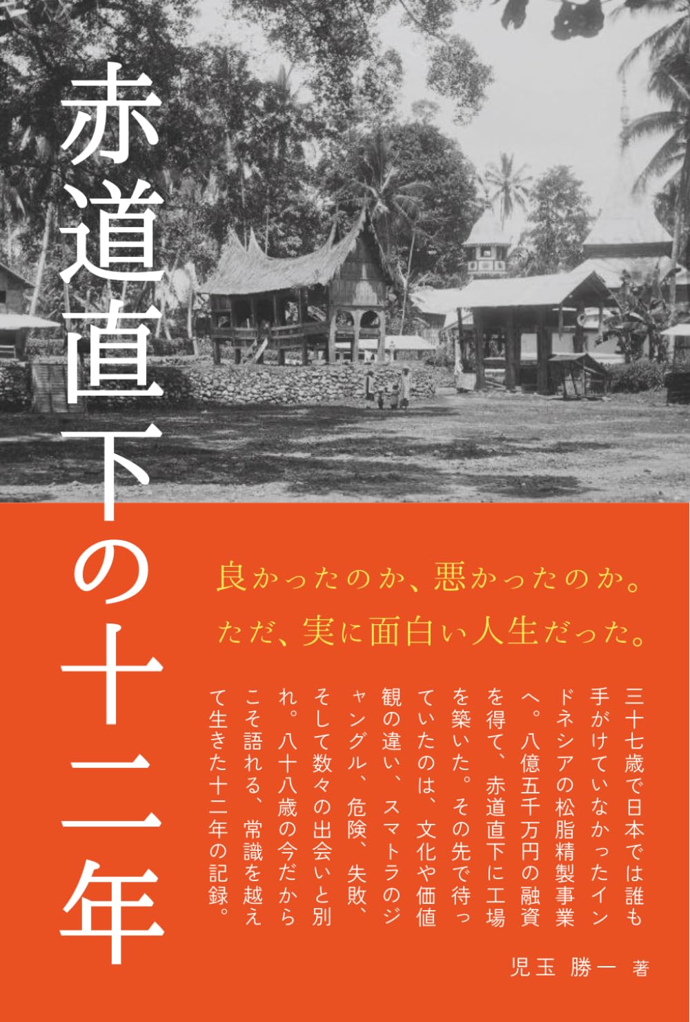 赤道直下の十二年の書影